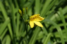 DSC05342.webp