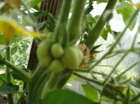 DSC01931.webp