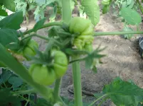 DSC01934.webp