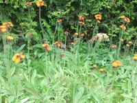 DSCF3083.webp