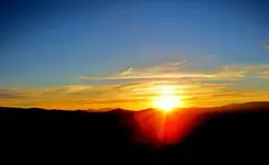 tn_Copy of IMG_1385v.webp