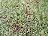 03062011200.webp