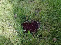 03062011204.webp