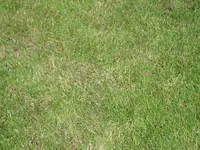 Nachher_.webp