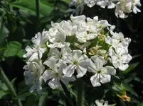 IMG_liebe1_1067x800.webp