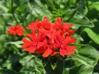 IMG_liebe3_1067x800.webp