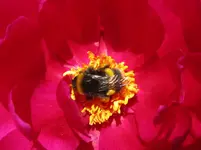IMG_3164_1067x800.webp