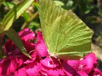 IMG_3163_1067x800.webp