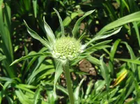 IMG_3171_1067x800.webp