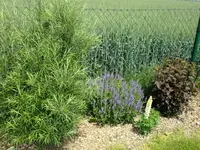 DSCF9247.webp