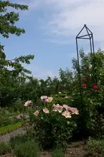 Garten 06 1 002.webp