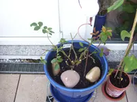 100_6171.webp