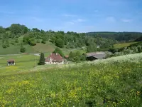 CIMG1118.webp