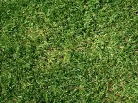 DSCF0668.webp
