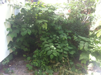 New Image.webp