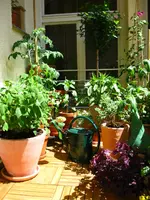 IMG_1697.webp