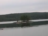 mushebubu in schweden.webp