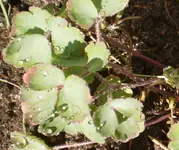 Bild1.webp