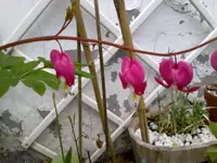 220520112813.webp