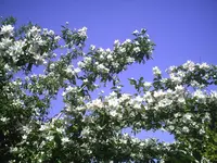 PIC01033.webp