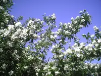 PIC01046.webp