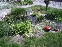 Teich1.webp
