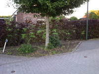 IMG-20110604-00046.webp