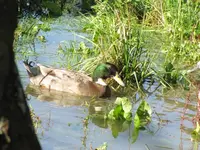 tn_IMG_3054v.webp