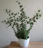 bild1.webp
