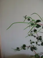bild3.webp