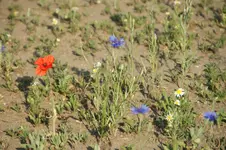 DSC05390.webp