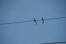 DSC05386.webp