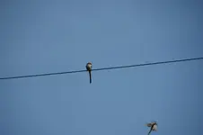 DSC05387.webp