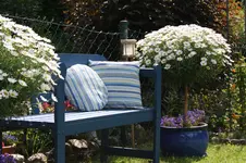 2.ter Sitzplatz.webp