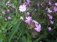 BILD0623.webp