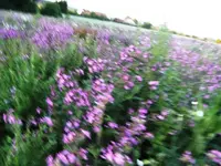 BILD0625.webp