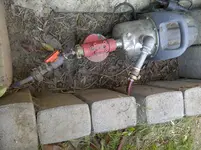 imG-20110605-00009.webp
