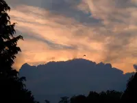 444.webp