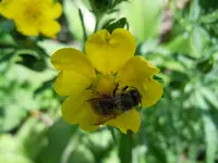 006.webp