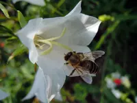 023.webp