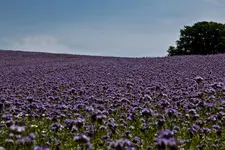 Hasberge 5.6.11 und Bärbel (1 von 29).webp