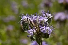 Hasberge 5.6.11 und Bärbel (5 von 29).webp