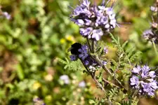Hasberge 5.6.11 und Bärbel (8 von 29).webp