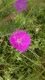 Handyuploard15.1.2011 020.webp