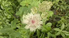 Handyuploard15.1.2011 025.webp