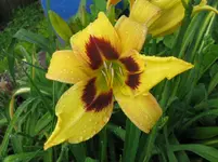 IMG_intermediar_1067x800.webp