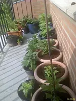 DC060901003.webp