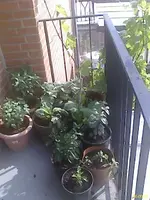 DC060901004.webp
