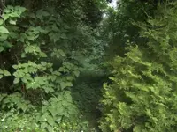 BILD0522.webp