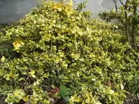 BILD0429.webp